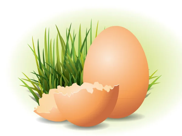 Uova di Pasqua ed erba — Vettoriale Stock