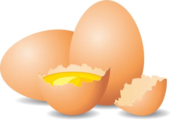 Vue rapprochée des œufs — Image vectorielle