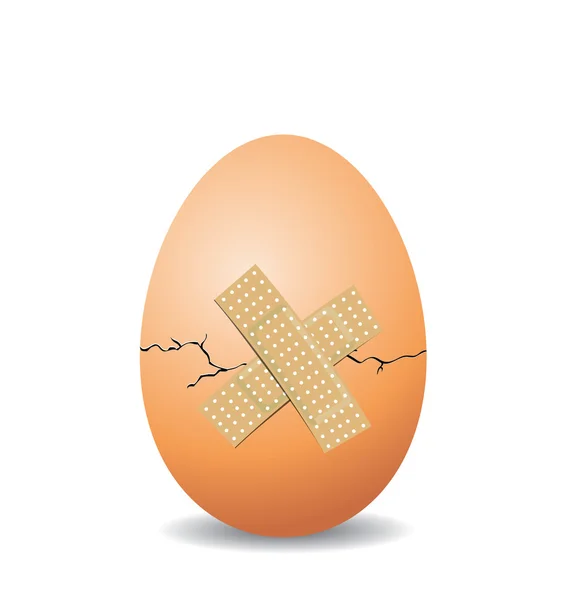 Cracked nest egg isolated on white — Stock Vector