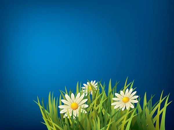Bunga di rumput hijau dan latar belakang biru - Stok Vektor
