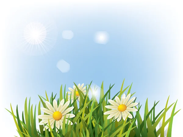 Flor em grama verde e fundo azul — Vetor de Stock