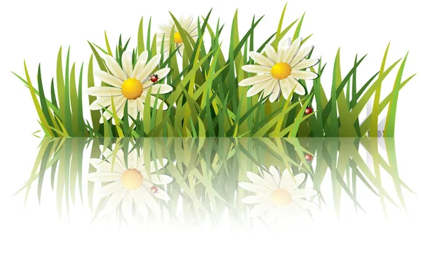 Зелена трава з сонечком — стоковий вектор