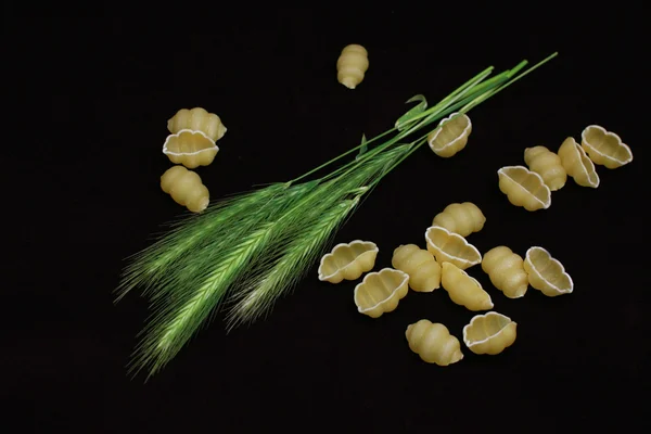 小麦とライ麦の耳 — ストック写真