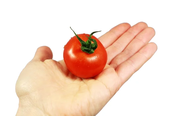 Pomodoro sulla mano — Foto Stock