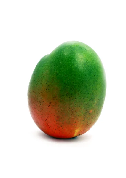 Tek mango — Stok fotoğraf
