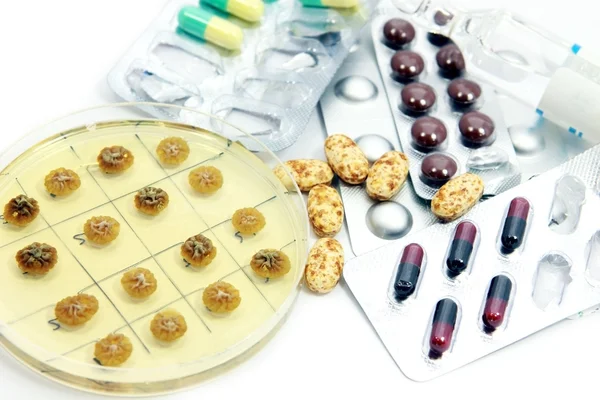 Penicillum kolonier och olika piller — Stockfoto