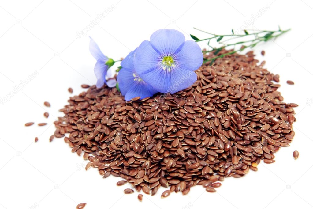 Linum usitatissimum flowers and seeds