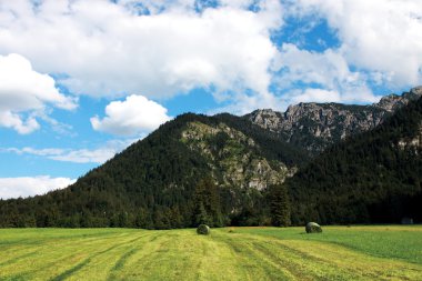 Alp Manzarası