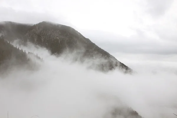 산 속의 안개 — 스톡 사진