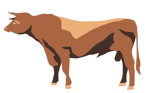 Stand-up grande toro con corna — Vettoriale Stock
