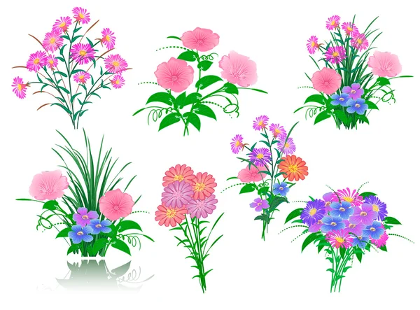 Conjunto de elementos florais — Vetor de Stock