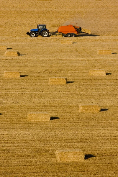 Фермер — стокове фото