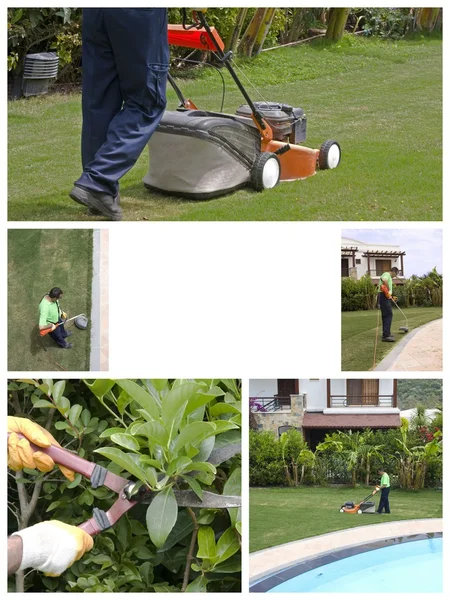 A gardener — Stock Photo, Image