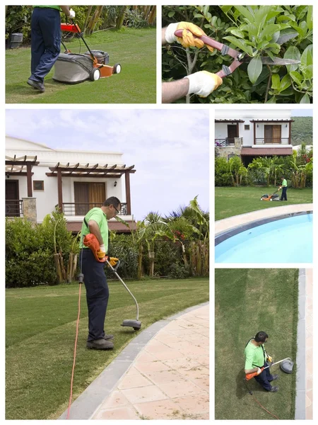 A gardener — Stock Photo, Image