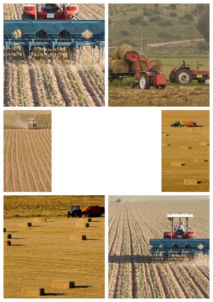 Agricultor —  Fotos de Stock