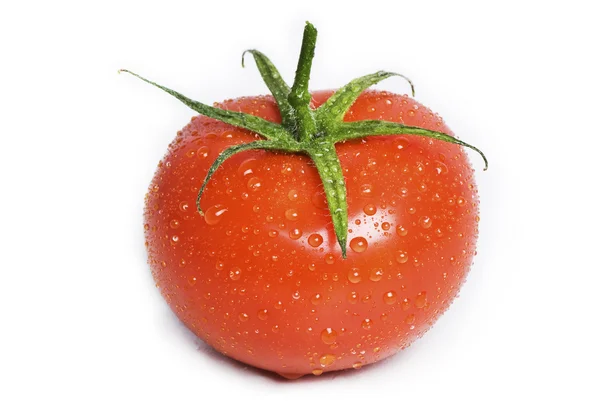 孤立した湿式トマト. — ストック写真