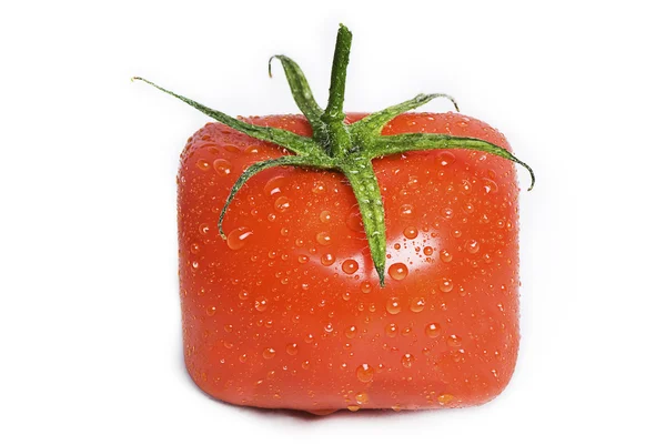Квадратний помідор з краплями води . Ліцензійні Стокові Зображення