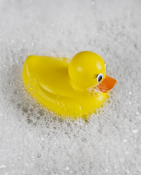 Rubber Ducky bathtime — Stockfoto