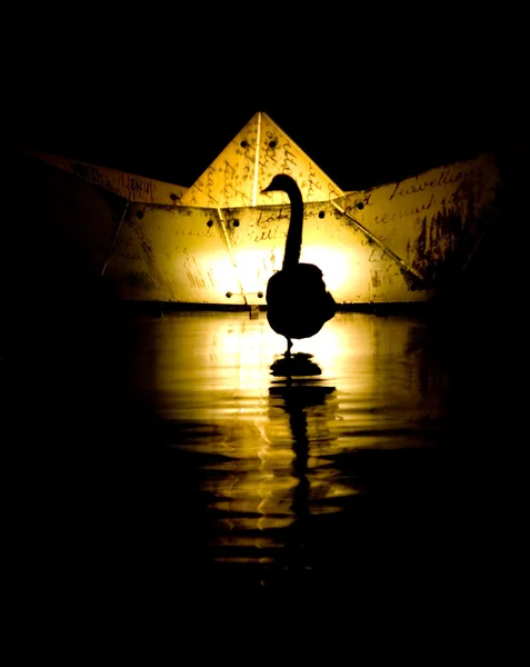 Silhueta de um Cisne — Fotografia de Stock