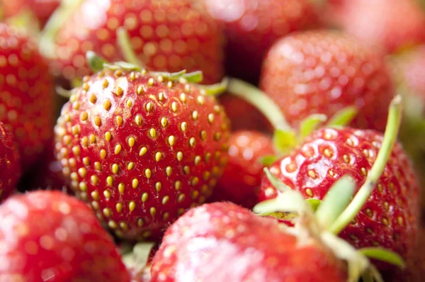 stock image Strawberries