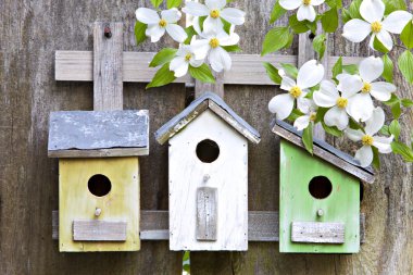 Three birdhouses on old wooden fence clipart