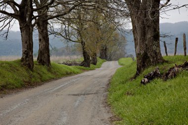 Gravel country road with fog clipart