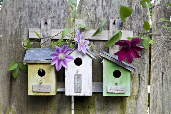 Tre casette per uccelli su vecchia recinzione in legno — Foto Stock