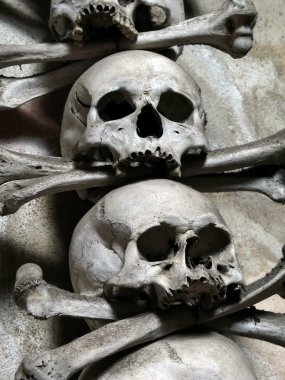 Skulls and bones clipart