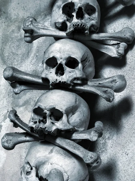 Kafatasları ve kemikleri — Stok fotoğraf