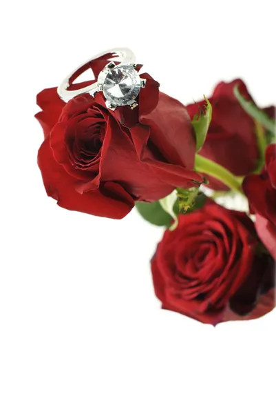 Rosa vermelha com anel de noivado — Fotografia de Stock