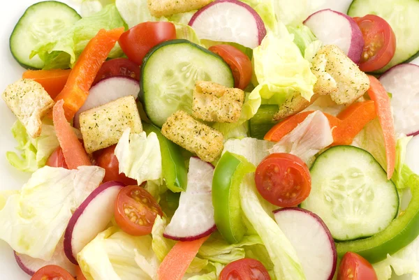 Closeup tuin salade Rechtenvrije Stockfoto's