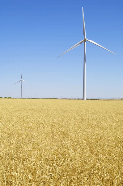 stock image Wind field