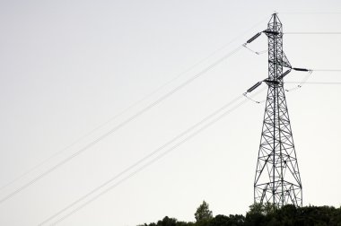 elektrik direği