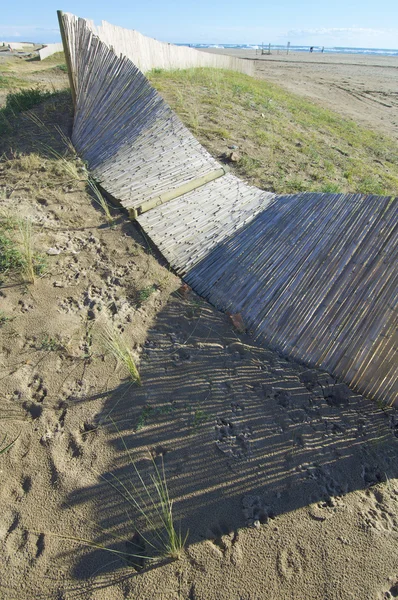Забор из тростника — стоковое фото