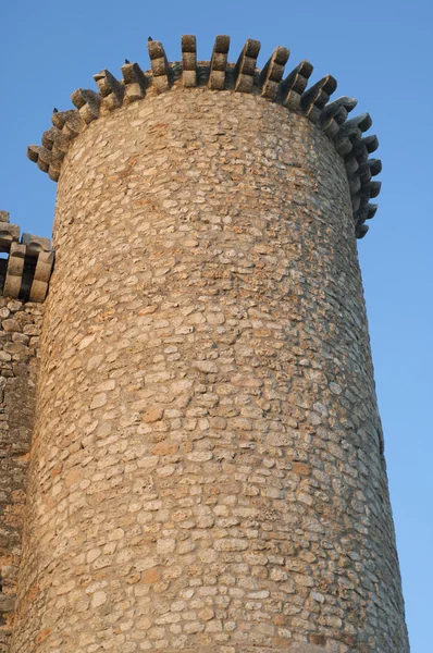 Torija 城堡塔 — 图库照片