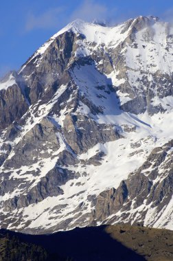 ' nin pyrenees