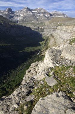 Pyrenees