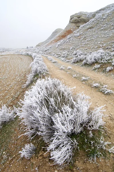 Frosty landscape — Stock Photo, Image