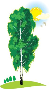 Green birch clipart