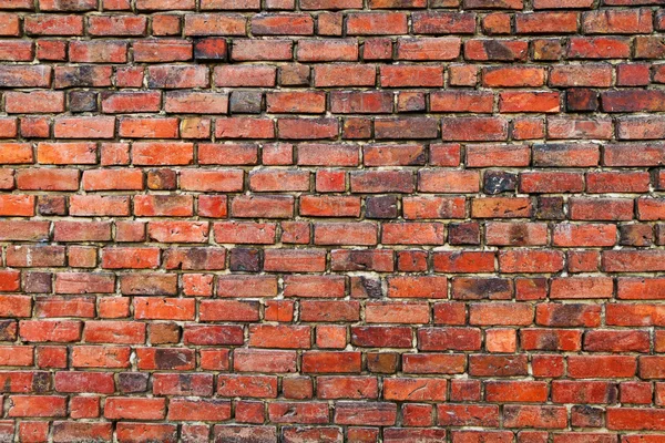 stock image Brick wall