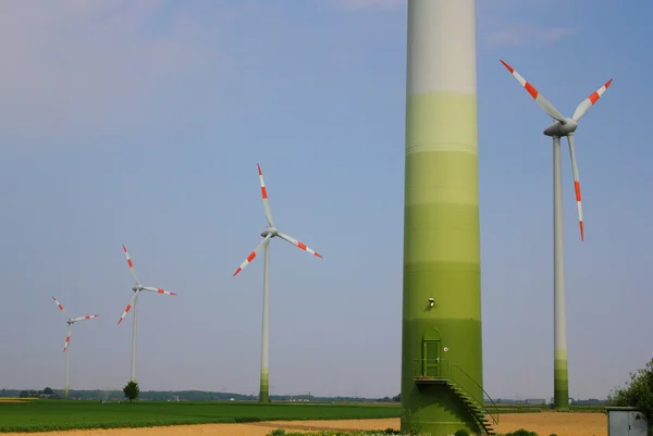 Windmills in the field — Stock Photo, Image