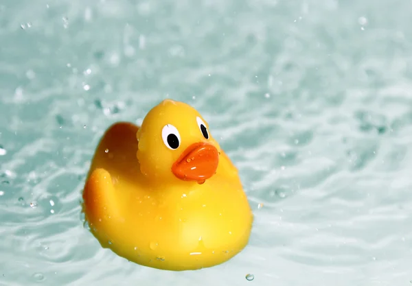 stock image Rubber toy duck in water