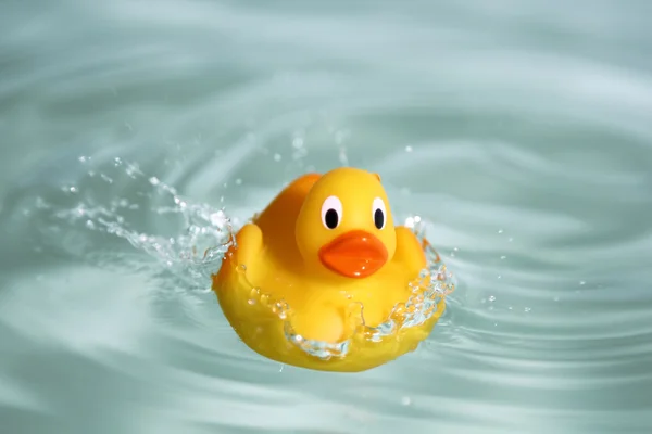 stock image Rubber toy duck in water