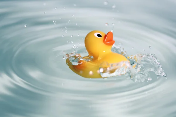 stock image Rubber toy duck in water