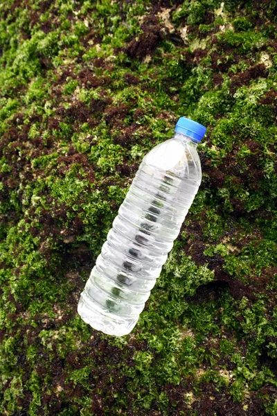 Algae and bottled water — Stock Photo, Image