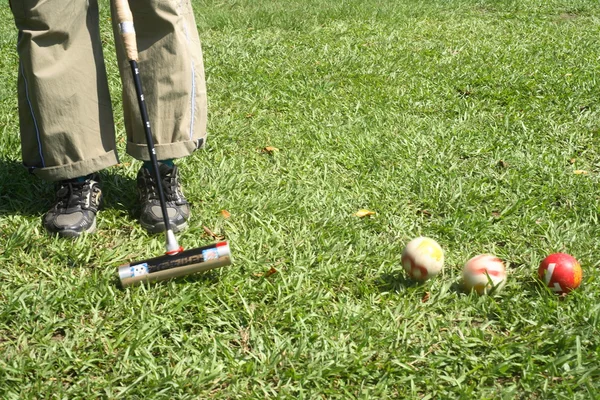 stock image Play the Croquet