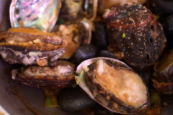 Grillad abalone — Stockfoto
