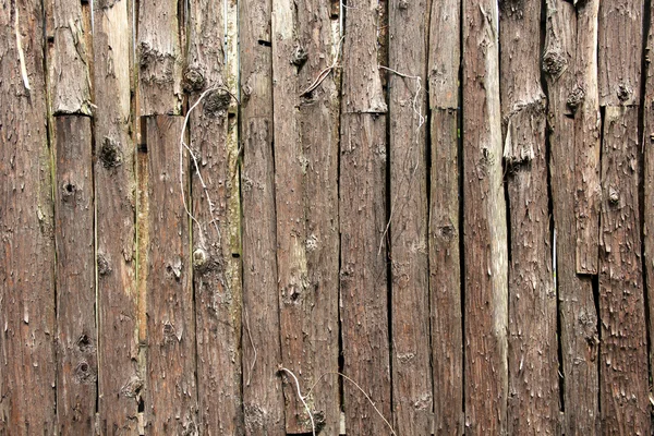 風化させた木製の板 — ストック写真