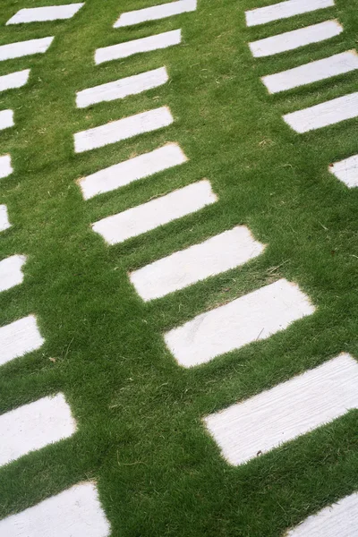 Schöner Garten aus Stein und Gras — Stockfoto