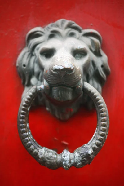 Czerwony lew drzwi ślepota — Zdjęcie stockowe